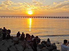 -宝安西湾红树林湿地公园