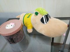 -宠爱国际动物医院· 猫科· 外科·中兽医(长白店)