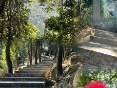 -火炉山森林公园