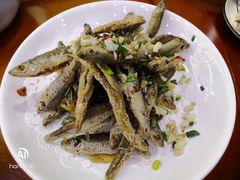 -全乐鱼馆·淳牌有机鱼直营店