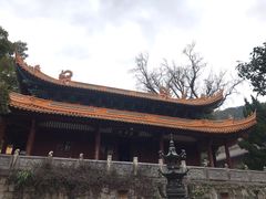 -普陀山风景名胜区-法雨禅寺