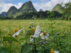 -靖西鹅泉风景区