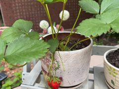 -慧享福养老机构(长寿路店)