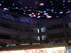 -东方山水金沙酒店-雅香阁中餐厅