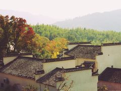 -塔川景区