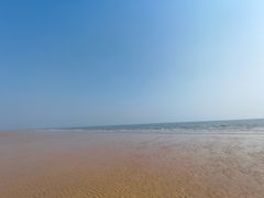 -日照海滨国家森林公园