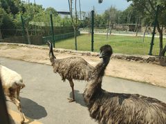 -南京汤山紫清湖生态旅游温泉度假区