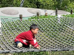 -杭州少年儿童公园