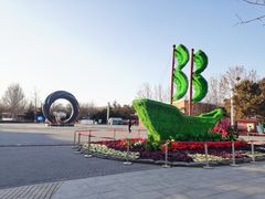 -大兴滨河森林公园