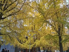 -四川大学(华西校区)