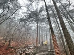 -黄山风景区