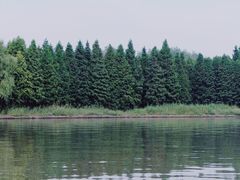 -溱湖国家湿地公园