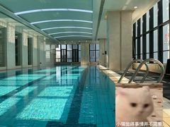 -跃动游泳健身俱乐部(新华传媒店)