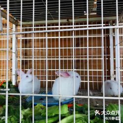 -小蜜蜂农场(凯德七宝购物广场店)