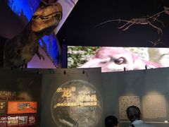 -贝林大翅鲸简餐厅(国家海洋博物馆店)