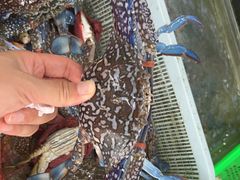 -后田海鲜餐厅(南澳香湖湾店)