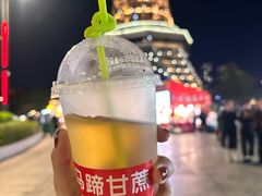 -文华公园(禅城区)