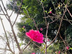 -广州莲花山旅游区