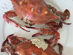 -宾朋海鲜饭庄(兴海路店)