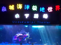 -泉城欧乐堡海洋极地世界