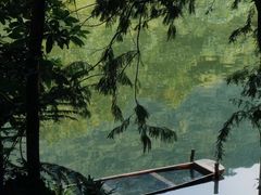 -深圳仙湖植物园