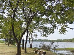 -盘龙城国家考古遗址公园