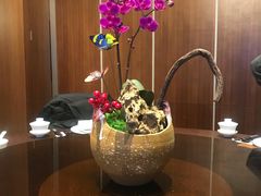 -杭州滨江银泰喜来登·采悦轩中餐厅