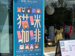 门面-飞行喵MR PILOT|猫舍·猫咖(静安大融城店)