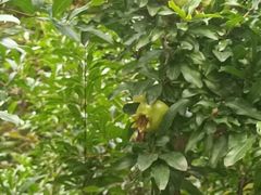 -人民广场-地下停车场