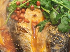 -東豫狼鲜货烧烤. 碳火烤鱼. 小龙虾(上海首店)