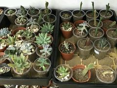 -A+匠心DIY手工坊·首饰·微景观
