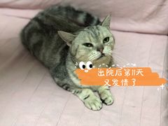 -守诺宠物医院·眼科· 特色牙科·异宠专科(虹口店)