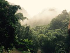 iphone_upload_pic-沐川竹海旅游景区