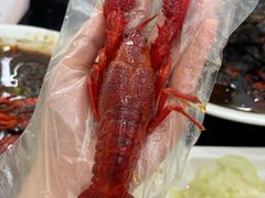 -盱眙红叶龙虾(金源北路店)