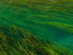 -叠溪松坪沟景区