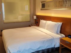 -上海浦东康桥绿地假日酒店