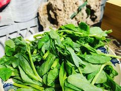 -小龙坎老火锅(工体店)