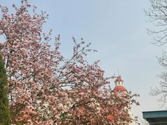 -北京世界公园