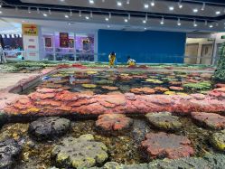 -钓虾工场·钓虾·赶海(回龙观店)