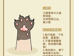 -翊宠yipet猫狗购宠庄园
