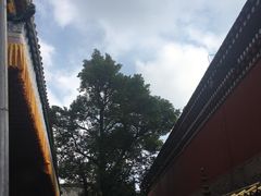 -塔尔寺