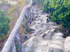 -梧桐山风景名胜区