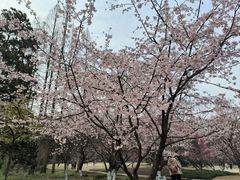 -杭州植物园