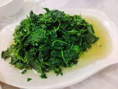 草头-溱湖八鲜菜馆