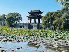 -长春北湖公园