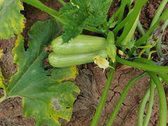 -帽儿山国家森林公园