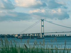 -贡湖湾湿地公园