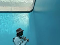 -金泽21世纪美术馆