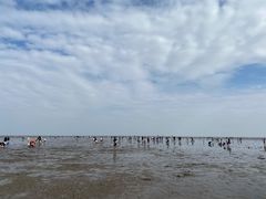 -奉贤海滩