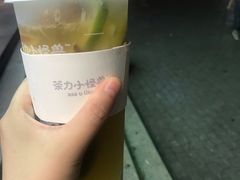 潮汕路边柠檬茶-茶力的小怪兽(梅林卓悦汇店)
